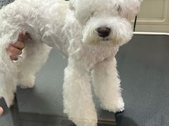-FAELING PETS美天灵宠物(富力广场店)
