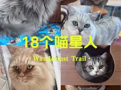 -小时光咖啡馆(开森度假森林店)