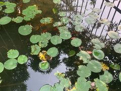 -三江森林温泉度假区