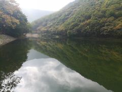-龙道沟景区