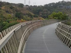 -福道