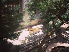 -香港大学