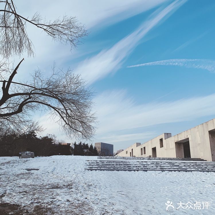 踩雪看冰雕滑个雪才是冬天正确的打开方式