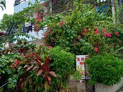 -坝光海滩