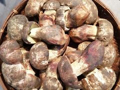 -滇铺子(欣都龙城店)