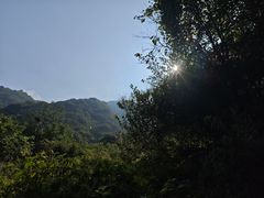 -秦岭风景区