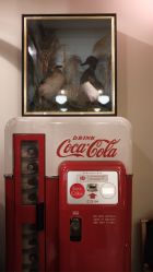 -IMUSE BARBER SHOP