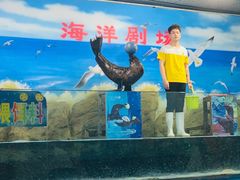-嘉兴海底世界