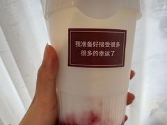 -Tim炒酸奶