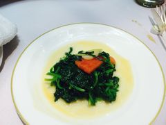 -诺莱仕游艇会