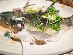 -百年恒益烧腊海鲜酒家·非遗传承(广州黄埔店)