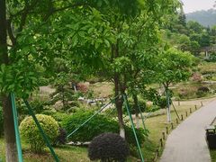 -东莞植物园
