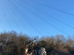 -合肥野生动物园