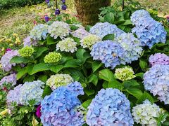 -人民公园(罗湖区)