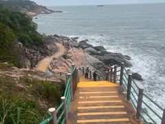 -广东惠东海龟国家级自然保护区