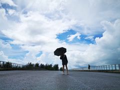 -东郊椰林