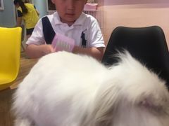 -藦茜花园宠物主题亲子互动体验馆(国顺东路店)