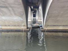-凤城河风景区