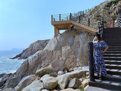 -广东惠东海龟国家级自然保护区