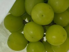 -美家乐农庄·露营·团建(大治路店)