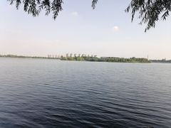 -丁香湖公园