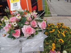 -重庆市江北嘴中央商务区中央公园