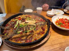 -老板恋上鱼(印象城店)