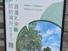 -重庆十八梯传统风貌区