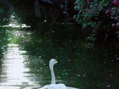 -北京动物园