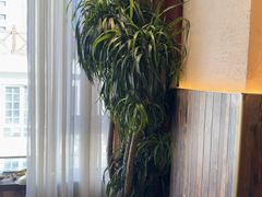 -慢丽江·云南野生菌土鸡锅(付家庄店)