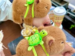 -萃茶师(琅西店)