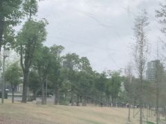 -牛岗山公园