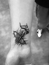 -天道tattoo纹身穿孔工作室