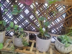 -茶百道(呼家楼店)