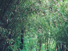 -四门塔风景区