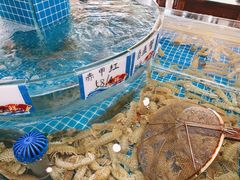 -抹直口特色菜馆(一店)