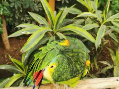 -南宫五洲植物乐园