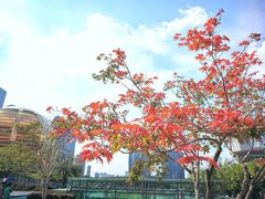 -钱江新城