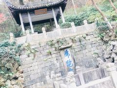 -镇江市南山风景名胜区竹林景区