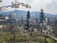 -樱桃山旅游景区