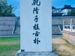 -观潮胜地公园