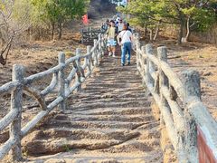 -磬锤峰森林公园