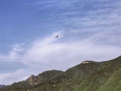 -十三陵水库