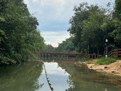 -广州白江湖森林公园