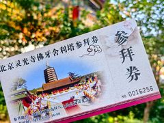 -八大处公园