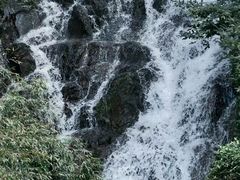 -东白山