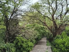 -伯先公园