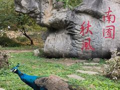 -北京麋鹿生态实验中心