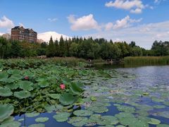 -前关湿地公园