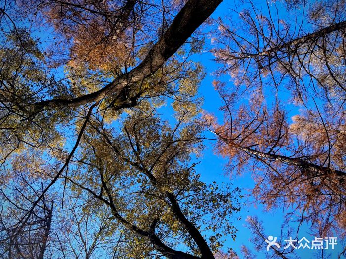 沈阳植物园图片